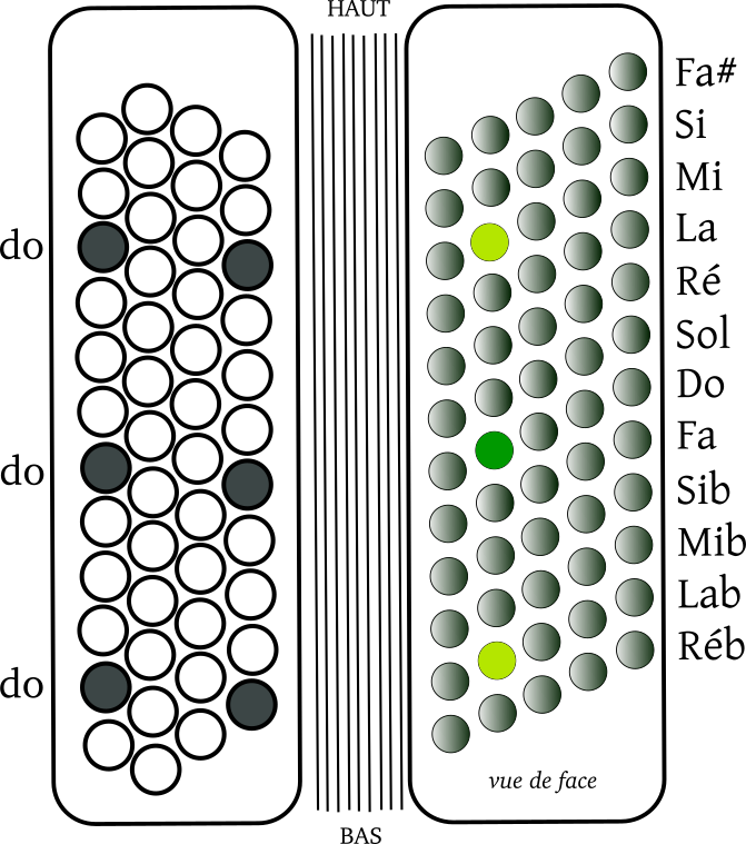 vue de l'accordéon
